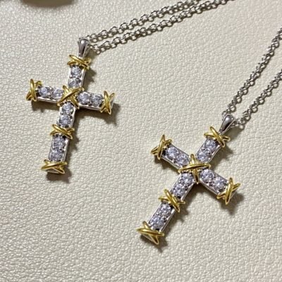 wsxc1745167559625_0